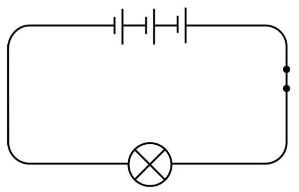 5. Sınıf Fen Bilimleri Ders Kitabı Sayfa 118 Cevapları İkinci Kitap