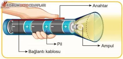 5. Sınıf Fen Bilimleri Ders Kitabı Sayfa 118 Cevapları İkinci Kitap