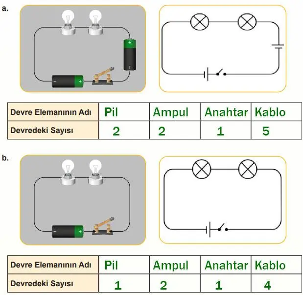 5. Sınıf Fen Bilimleri Ders Kitabı Sayfa 119 Cevapları İkinci Kitap