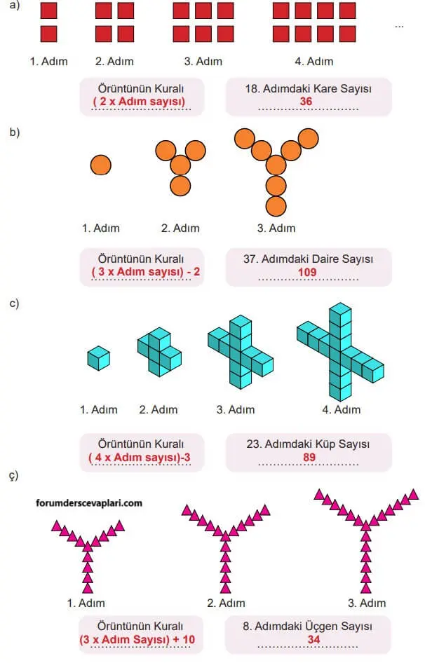5. Sınıf Matematik Ders Kitabı Sayfa 146 Cevapları İkinci Kitap