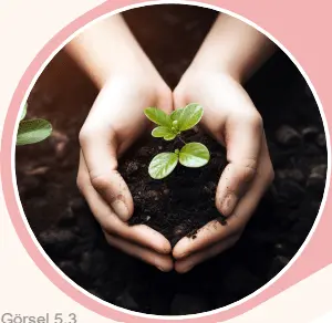 5. Sınıf Sosyal Bilgiler Ders Kitabı Sayfa 68-69-70-71 Cevapları 2. Kitap 4 5. Sınıf Sosyal Bilgiler Ders Kitabı Sayfa 71 Cevapları MEB Yayınları