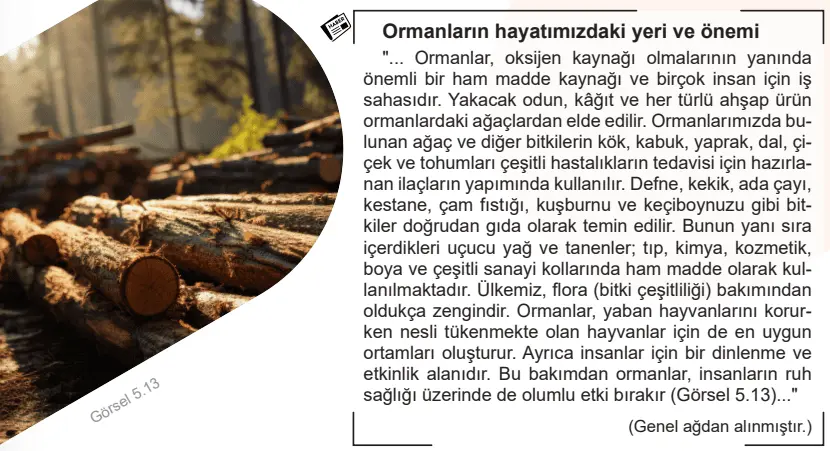 5. Sınıf Sosyal Bilgiler Ders Kitabı Sayfa 76 Cevapları İkinci Kitap