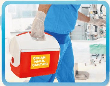 6. Sınıf Fen Bilimleri Ders Kitabı Sayfa  235 Cevapları GÜN Yayıncılık1