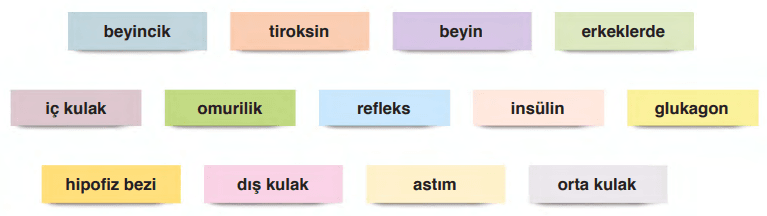 6. Sınıf Fen Bilimleri Ders Kitabı Sayfa 249-250-251-252-253 Cevapları GÜN Yayıncılık