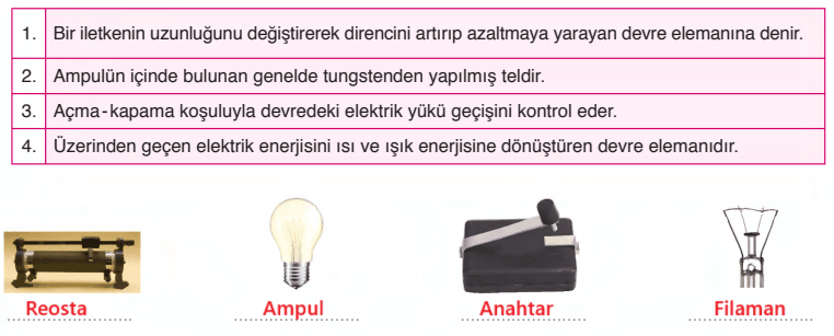 6. Sınıf Fen Bilimleri Ders Kitabı Sayfa  277 Cevapları GÜN Yayıncılık1