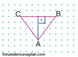 6. Sınıf Matematik Ders Kitabı Sayfa 234 Cevapları MEB Yayınları1