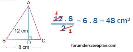 6. Sınıf Matematik Ders Kitabı Sayfa 236 Cevapları MEB Yayınları