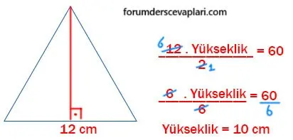 6. Sınıf Matematik Ders Kitabı Sayfa 236 Cevapları MEB Yayınları1