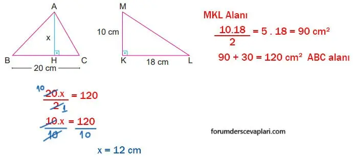 6. Sınıf Matematik Ders Kitabı Sayfa 236 Cevapları MEB Yayınları2