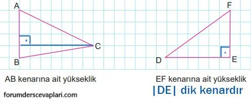 6. Sınıf Matematik Ders Kitabı Sayfa 237 Cevapları MEB Yayınları