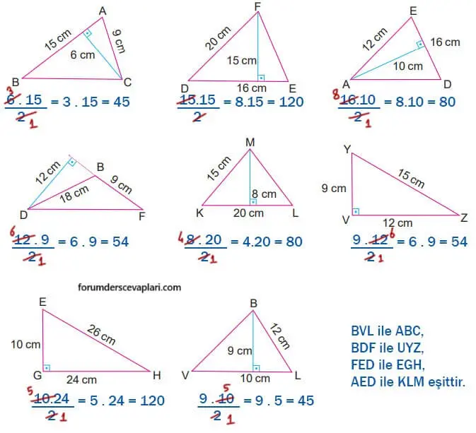 6. Sınıf Matematik Ders Kitabı Sayfa 237 Cevapları MEB Yayınları1