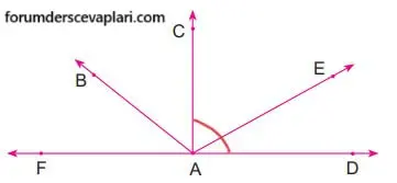 6. Sınıf Matematik Ders Kitabı Sayfa 248-249-250-251-252-253 Cevapları MEB Yayınları