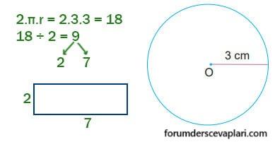 6. Sınıf Matematik Ders Kitabı Sayfa 266 Cevapları MEB Yayınları