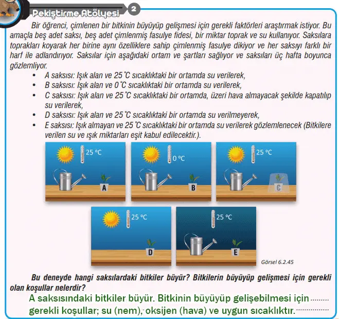 7. Sınıf Fen Bilimleri Ders Kitabı Sayfa 186-189-192-193 Cevapları MEB Yayınları 2 7. Sınıf Fen Bilimleri Ders Kitabı Sayfa 193 Cevapları MEB Yayınları
