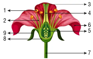 7. Sınıf Fen Bilimleri Ders Kitabı Sayfa 197-198 Cevapları MEB Yayınları