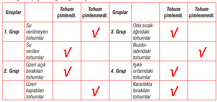 7. Sınıf Fen Bilimleri Ders Kitabı Sayfa 198 Cevapları MEB Yayınları