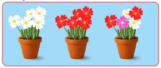 7. Sınıf Fen Bilimleri Ders Kitabı Sayfa 199-200-201-202 Cevapları MEB Yayınları 4 7. Sınıf Fen Bilimleri Ders Kitabı Sayfa 201-202 Cevapları MEB Yayınları1