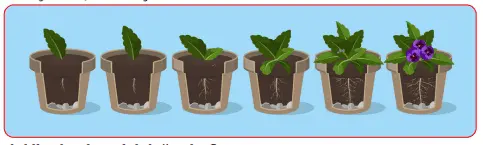 7. Sınıf Fen Bilimleri Ders Kitabı Sayfa 199-200-201-202 Cevapları MEB Yayınları 5 7. Sınıf Fen Bilimleri Ders Kitabı Sayfa 201-202 Cevapları MEB Yayınları2