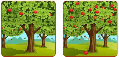 7. Sınıf Fen Bilimleri Ders Kitabı Sayfa 199-200-201-202 Cevapları MEB Yayınları 6 7. Sınıf Fen Bilimleri Ders Kitabı Sayfa 201-202 Cevapları MEB Yayınları3