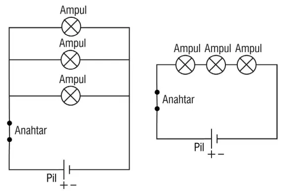 7. Sınıf Fen Bilimleri Ders Kitabı Sayfa 204-205-206 Cevapları MEB Yayınları
