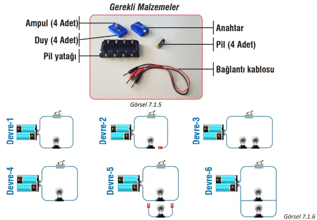 7. Sınıf Fen Bilimleri Ders Kitabı Sayfa 206 Cevapları MEB Yayınları