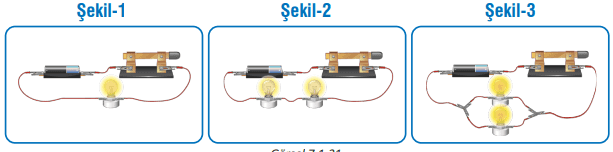 7. Sınıf Fen Bilimleri Ders Kitabı Sayfa 216 Cevapları MEB Yayınları