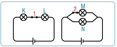 7. Sınıf Fen Bilimleri Ders Kitabı Sayfa 217-218-219-220 Cevapları MEB Yayınları 9 7. Sınıf Fen Bilimleri Ders Kitabı Sayfa 220 Cevapları MEB Yayınları