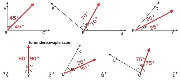 7. Sınıf Matematik Ders Kitabı Sayfa 190-195 Cevapları Edat Yayınları 3 7. Sınıf Matematik Ders Kitabı Sayfa 195 Cevapları Edat Yayınları