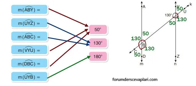 7. Sınıf Matematik Ders Kitabı Sayfa 206 Cevapları Edat Yayınları