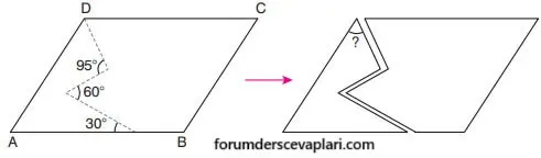 7. Sınıf Matematik Ders Kitabı Sayfa 206 Cevapları Edat Yayınları1