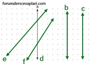 7. Sınıf Matematik Ders Kitabı Sayfa 207 Cevapları Edat Yayınları