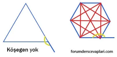 7. Sınıf Matematik Ders Kitabı Sayfa 221 Cevapları Edat Yayınları1