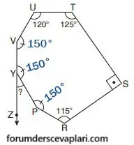7. Sınıf Matematik Ders Kitabı Sayfa 222 Cevapları Edat Yayınları
