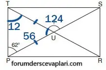 7. Sınıf Matematik Ders Kitabı Sayfa 223-228-229 Cevapları Edat Yayınları 4 7. Sınıf Matematik Ders Kitabı Sayfa 229 Cevapları Edat Yayınları