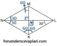 7. Sınıf Matematik Ders Kitabı Sayfa 223-228-229 Cevapları Edat Yayınları 5 7. Sınıf Matematik Ders Kitabı Sayfa 229 Cevapları Edat Yayınları1