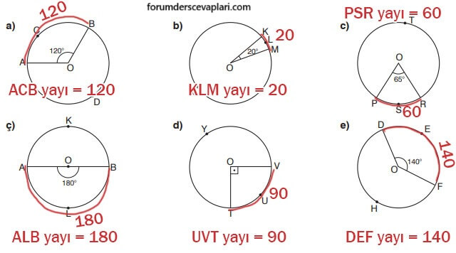 7. Sınıf Matematik Ders Kitabı Sayfa 250 Cevapları Edat Yayınları