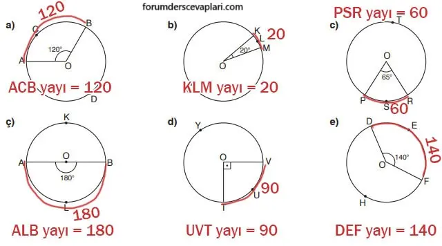 7. Sınıf Matematik Ders Kitabı Sayfa 247-250 Cevapları Edat Yayınları 3 7. Sınıf Matematik Ders Kitabı Sayfa 250 Cevapları Edat Yayınları