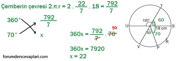 7. Sınıf Matematik Ders Kitabı Sayfa 256 Cevapları Edat Yayınları