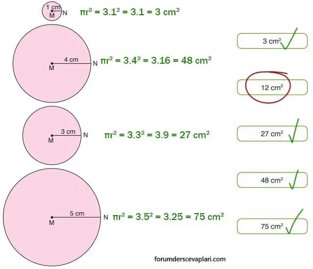 7. Sınıf Matematik Ders Kitabı Sayfa 262 Cevapları Edat Yayınları