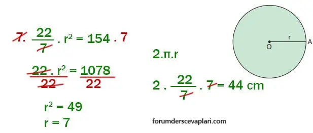 7. Sınıf Matematik Ders Kitabı Sayfa 262 Cevapları Edat Yayınları1