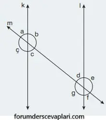7. Sınıf Matematik Ders Kitabı Sayfa 265 Cevapları Edat Yayınları