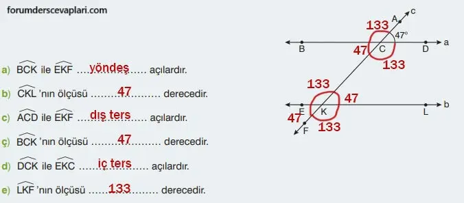 7. Sınıf Matematik Ders Kitabı Sayfa 265 Cevapları Edat Yayınları1