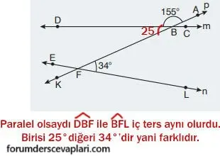 7. Sınıf Matematik Ders Kitabı Sayfa 265 Cevapları Edat Yayınları2