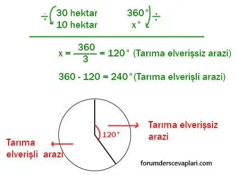 7. Sınıf Matematik Ders Kitabı Sayfa 287 Cevapları Edat Yayınları1