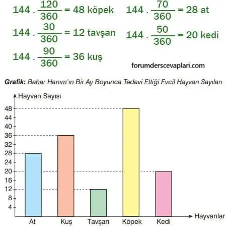 7. Sınıf Matematik Ders Kitabı Sayfa 315 Cevapları Edat Yayınları