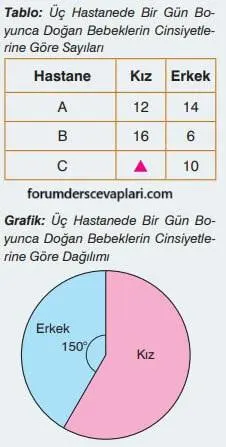 7. Sınıf Matematik Ders Kitabı Sayfa 317 Cevapları Edat Yayınları