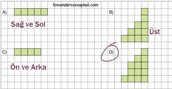 7. Sınıf Matematik Ders Kitabı Sayfa 317 Cevapları Edat Yayınları3