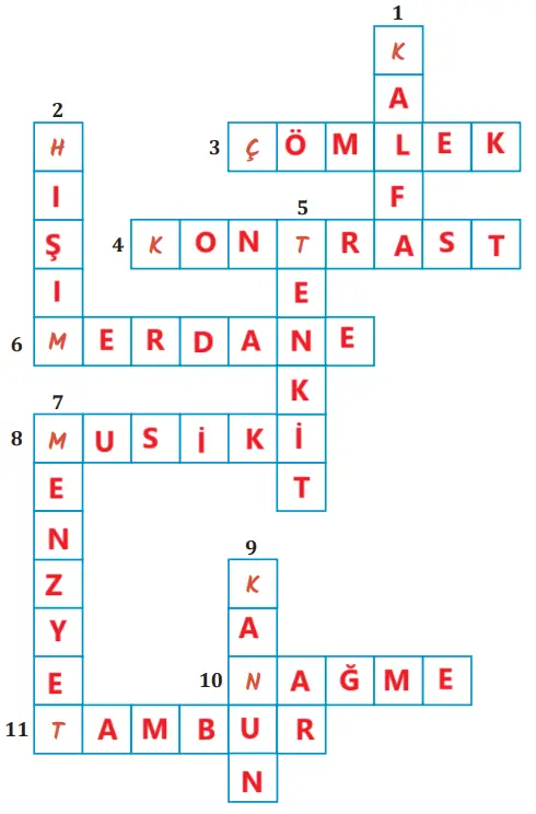 7. Sınıf Türkçe Ders Kitabı Sayfa 242-244-245-246-247 Cevapları MEB Yayınları