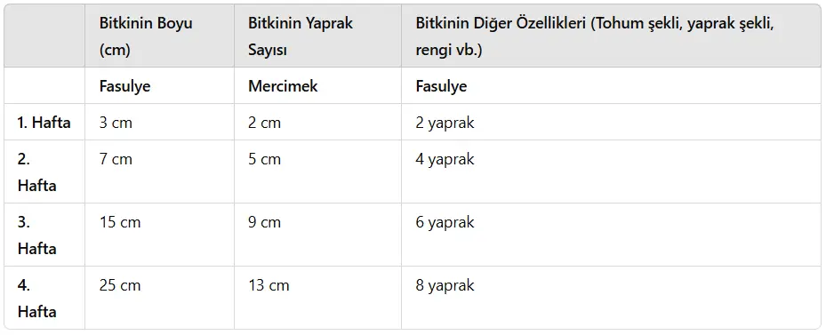 3. Sınıf Fen Bilimleri Ders Kitabı Sayfa 163-164-165 Cevapları MEB Yayınları