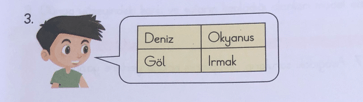 3. Sınıf Fen Bilimleri Ders Kitabı Sayfa 37 Cevapları CEM Yayınları